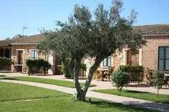 Agroturismo Can Canals - Photo2
