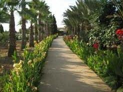 Agroturismo Can Canals - Photo4