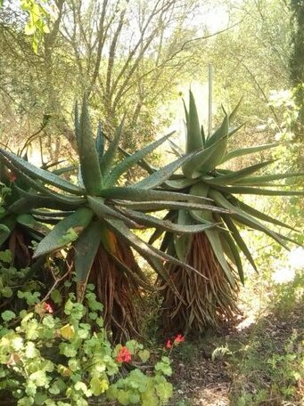 Arthouse Campos - Photo2