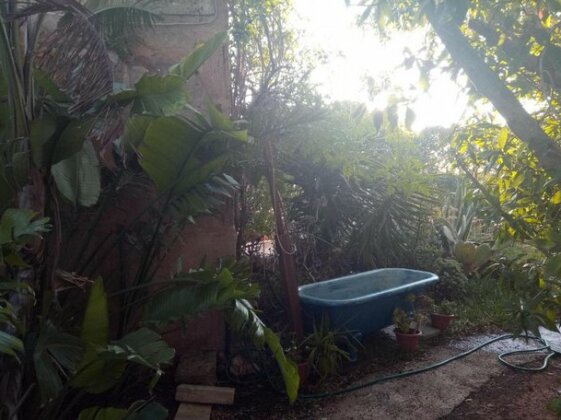 Arthouse Campos - Photo3