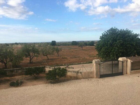 Finca Rica Tierra - Photo5