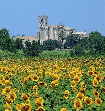 La Catedral Castello d'Empuries - Photo5