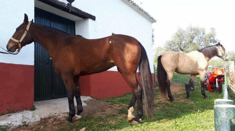 Finca la Carnicera - Photo2