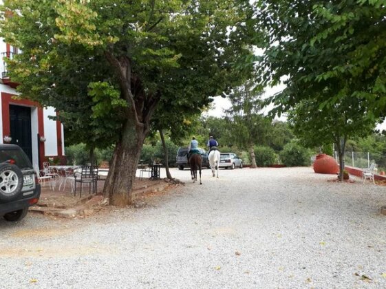 Finca la Carnicera - Photo5