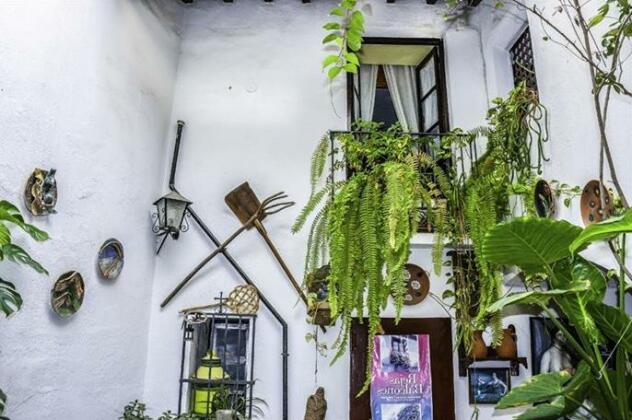 Hostal Osio - Photo3