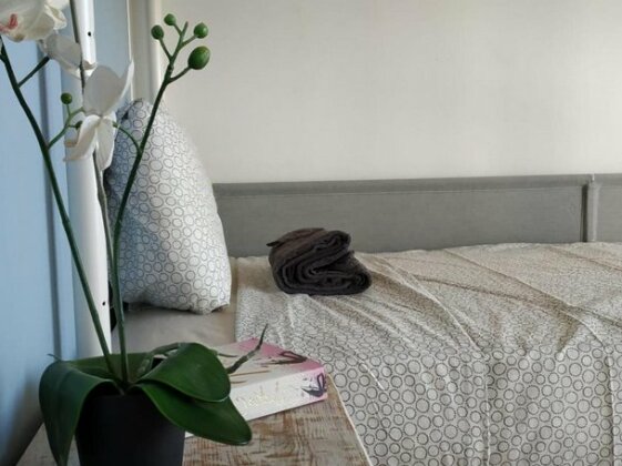 Aloha Surf House - Photo4