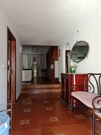 Bed and Breakfast Algarrobo Denia - Photo4