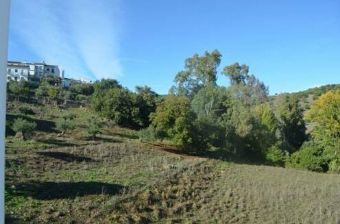 Casa Pinsapo - Photo3