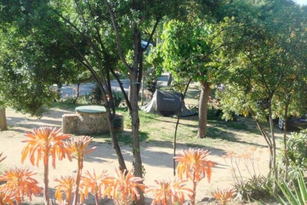 Camping Masnou - Photo5