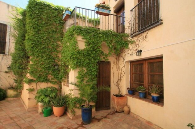 Casa del Patio El Pinar - Photo4