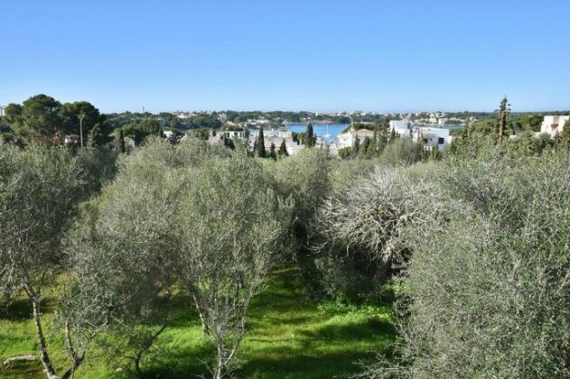 Corso - Photo5