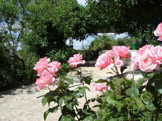 Finca La Suerte - Photo4