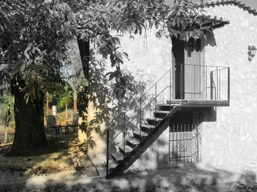 Finca la Virinuela - Photo2