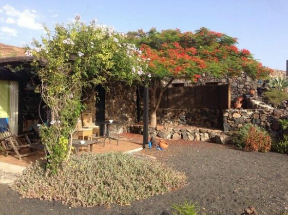 Apartamento Rural Oasis 2 - Photo2