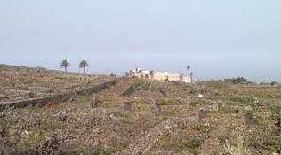 Habibi - Photo4
