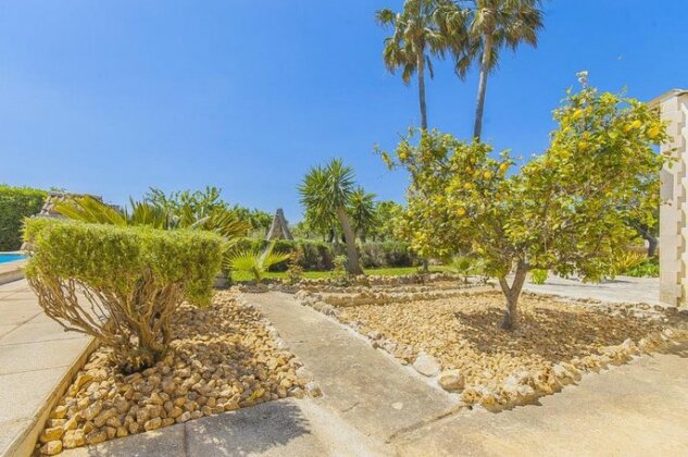 Finca Sota - Photo5