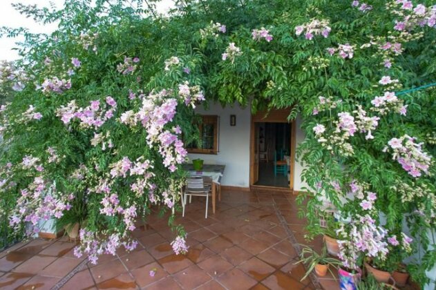 La Rana Verde Casa Rural - Photo4