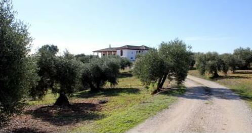 Casa Rural la Serrana - Photo4