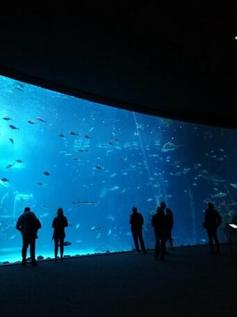 Las Canteras Aquarium - Photo2