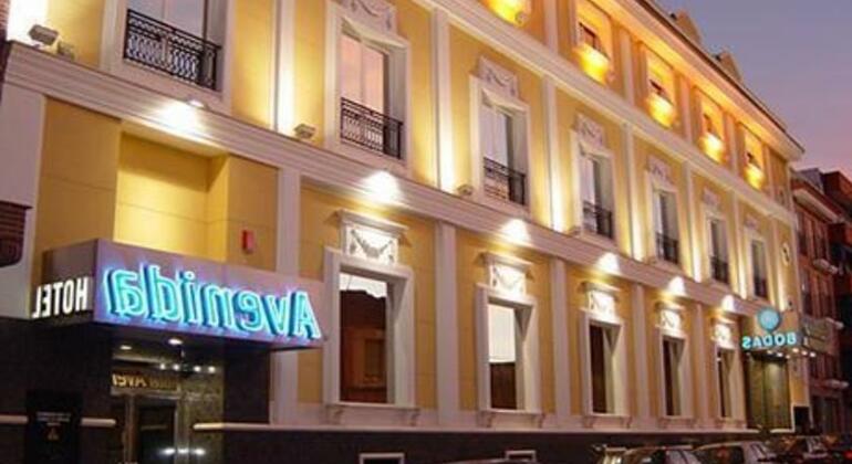 Hotel Avenida Leganes