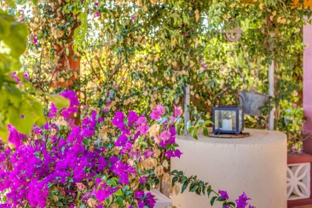 Finca Can Jan - Photo5
