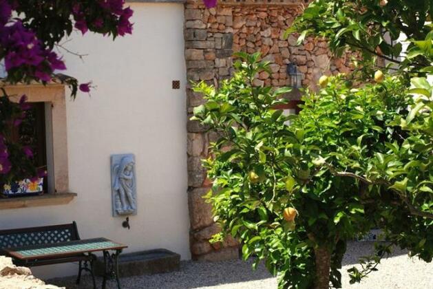 Finca Can Paulino - Photo2