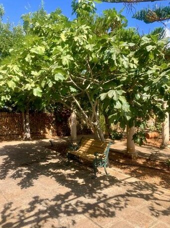 Finca Cucu - Photo2