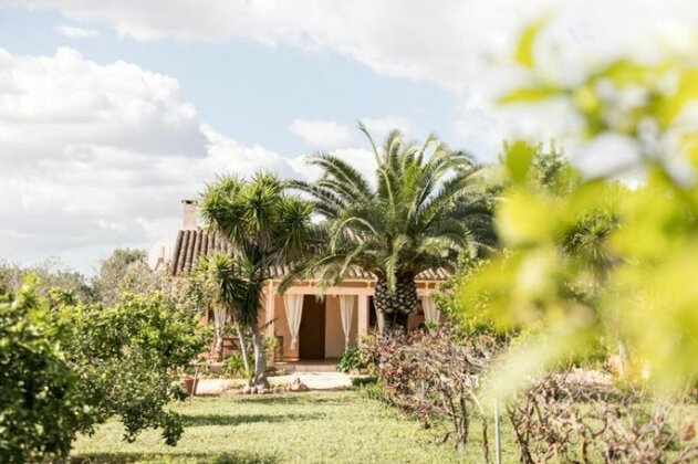 Finca Flora Cas Nets - Photo2