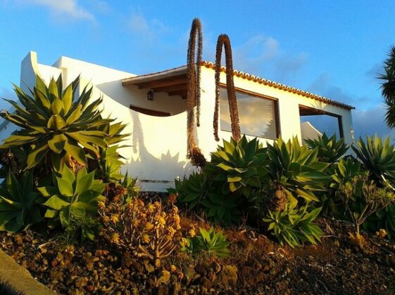 Bungalows Canary Islands - Photo2