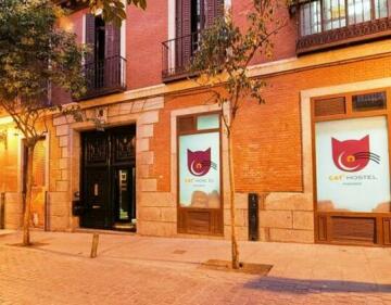 Cats Hostel Madrid Sol