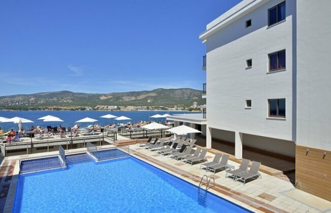 Alua Palmanova Bay - Photo2
