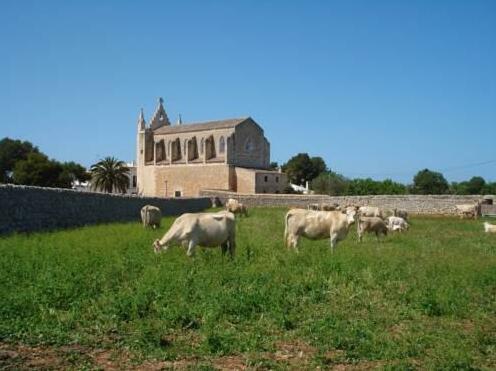 Llucmacanes Gran Agroturismo - Photo3