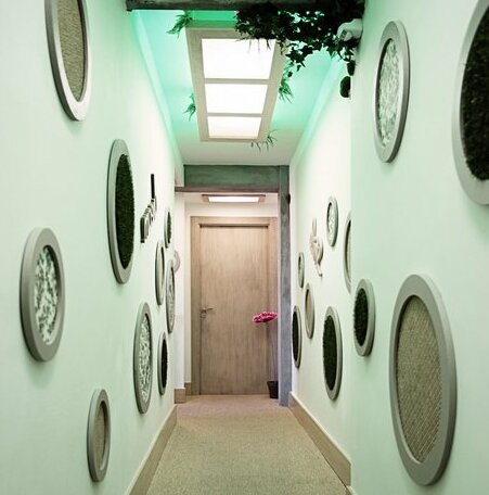 Blue Bird Suite Deluxe - Photo3