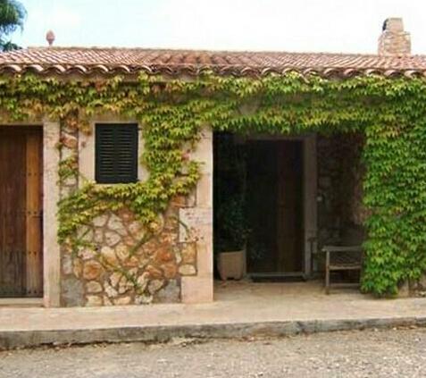 Finca S'Aigo - Photo5