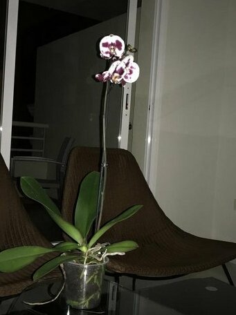 Nagueles II - Photo2