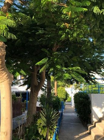 Bungalow Playmar - Photo3