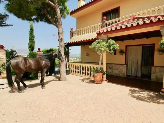 Villa Flamenca - Photo3