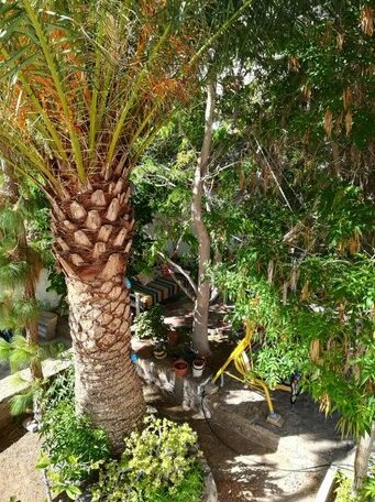 Casa Mamanena - Photo3