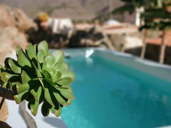 Los Pinos Mogan - Photo5