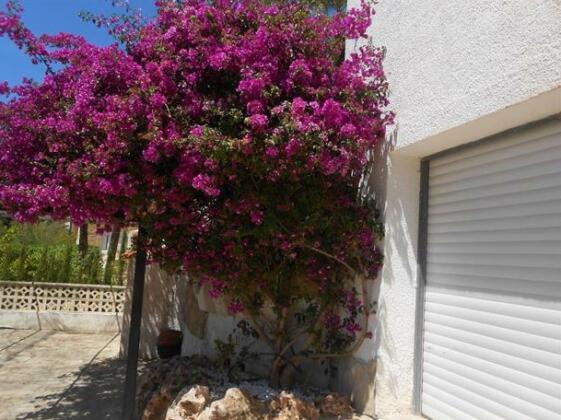 Villa Leomar - Photo4