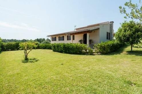 Ses Parres - Photo2