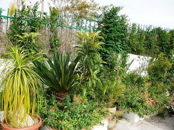 Interhome - Las Palomas - Photo4