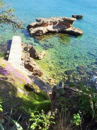 Hostal Villa Cati - Photo2