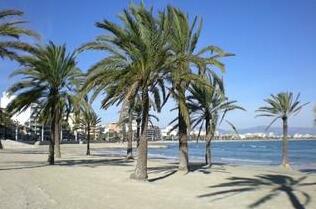 Apartment in Palma de Mallorca 102361 - Photo3