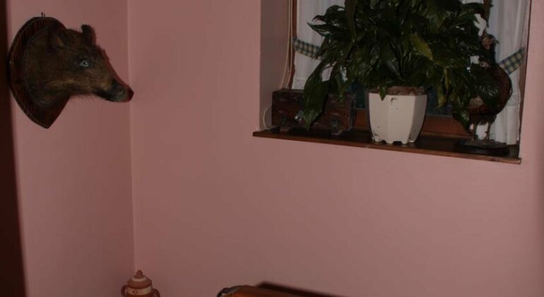Casa Aurora Parres - Photo2