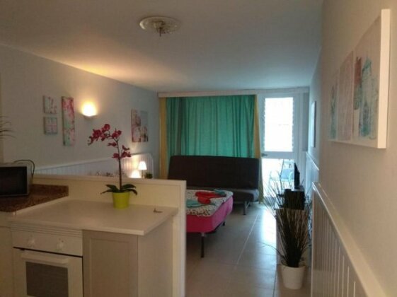 Apartment Borinquen with heated pool only 280 meters to the beach wifi - Photo5