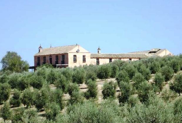 Cortijo San Jose - Photo4