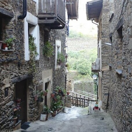 Casa Rural La Ortiga - Photo2