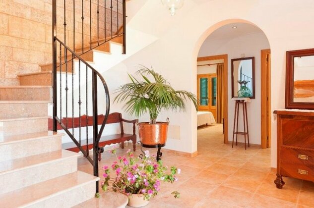 Mussol - Photo3
