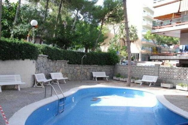 Paradis 704 - Photo3